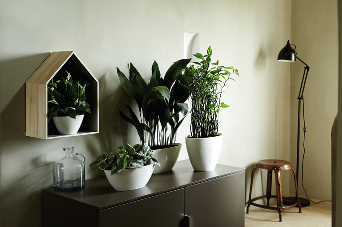 brussels diamond oval 36cm white